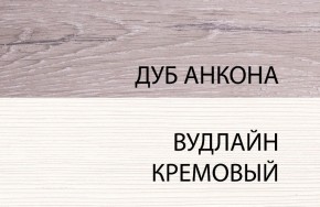Шкаф 1DZ, OLIVIA, цвет вудлайн крем/дуб анкона в Ханты-Мансийске - hanty-mansiysk.ok-mebel.com | фото 3