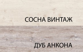 Шкаф 2D1S, MONAKO, цвет Сосна винтаж/дуб анкона в Ханты-Мансийске - hanty-mansiysk.ok-mebel.com | фото
