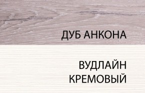 Шкаф 2DG, OLIVIA, цвет вудлайн крем/дуб анкона в Ханты-Мансийске - hanty-mansiysk.ok-mebel.com | фото 3