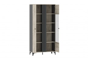 Шкаф комбинированный НМ 040.10 "Отис" в Ханты-Мансийске - hanty-mansiysk.ok-mebel.com | фото 2