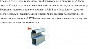 Шкаф-купе 2250 серии SILVER S3+S1+S3Z B22+PL2 (по 2 ящика лев/прав+1штанга+1 полка) профиль «Серебро» в Ханты-Мансийске - hanty-mansiysk.ok-mebel.com | фото 4