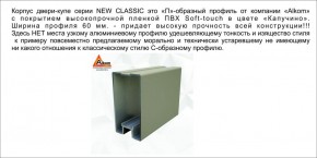 Шкаф-купе 2450 серии NEW CLASSIC K6Z+K1+K6+B22+PL1 (по 2 ящика лев/прав+1 штанга) профиль «Капучино» в Ханты-Мансийске - hanty-mansiysk.ok-mebel.com | фото 17