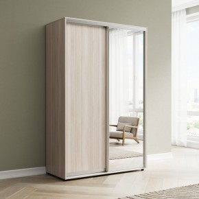 Шкаф-купе Акцент-Сим ДЗ 1000-600 в Ханты-Мансийске - hanty-mansiysk.ok-mebel.com | фото 6