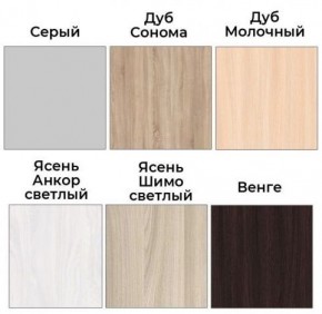 Шкаф-купе ХИТ 22-4-12/2-77 (420) в Ханты-Мансийске - hanty-mansiysk.ok-mebel.com | фото 3