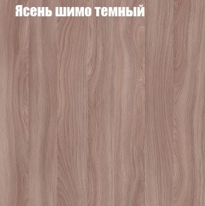 Шкаф-купе «ТАНДЕМ» 2-х дверный в алюминиевом профиле (Дверь К+К) 1600/h2200 в Ханты-Мансийске - hanty-mansiysk.ok-mebel.com | фото 7