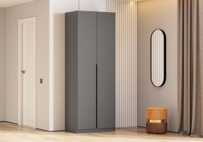 Шкаф платяной Даиго в Ханты-Мансийске - hanty-mansiysk.ok-mebel.com | фото 3