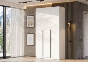 Шкаф платяной Даиго в Ханты-Мансийске - hanty-mansiysk.ok-mebel.com | фото 3