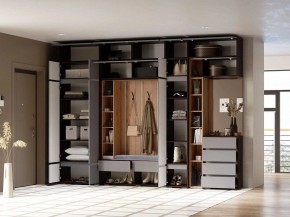 Шкаф платяной Роут в Ханты-Мансийске - hanty-mansiysk.ok-mebel.com | фото 2