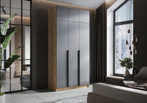 Шкаф платяной Широн в Ханты-Мансийске - hanty-mansiysk.ok-mebel.com | фото 4