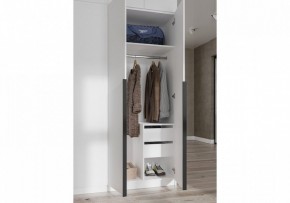 Шкаф платяной Широн в Ханты-Мансийске - hanty-mansiysk.ok-mebel.com | фото 3