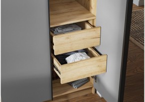 Шкаф платяной Широн в Ханты-Мансийске - hanty-mansiysk.ok-mebel.com | фото 3