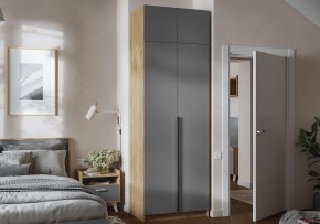 Шкаф платяной Широн в Ханты-Мансийске - hanty-mansiysk.ok-mebel.com | фото 4