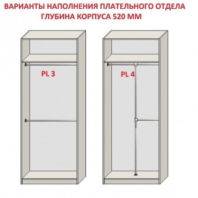 Шкаф распашной серия «ЗЕВС» (PL3/С1/PL2) в Ханты-Мансийске - hanty-mansiysk.ok-mebel.com | фото 10