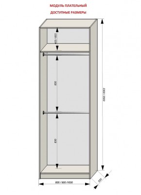 Шкаф распашной серия «ЗЕВС» (PL3/С1/PL2) в Ханты-Мансийске - hanty-mansiysk.ok-mebel.com | фото 12