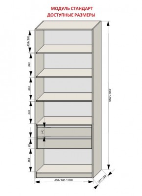 Шкаф распашной серия «ЗЕВС» (PL3/С1/PL2) в Ханты-Мансийске - hanty-mansiysk.ok-mebel.com | фото 13