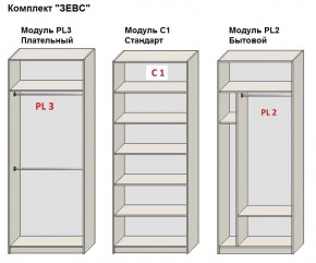 Шкаф распашной серия «ЗЕВС» (PL3/С1/PL2) в Ханты-Мансийске - hanty-mansiysk.ok-mebel.com | фото 2