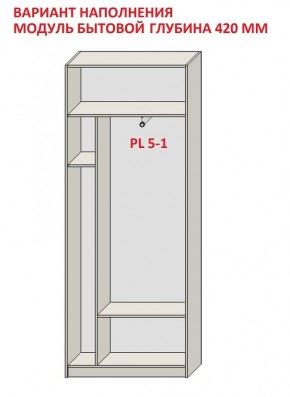 Шкаф распашной серия «ЗЕВС» (PL3/С1/PL2) в Ханты-Мансийске - hanty-mansiysk.ok-mebel.com | фото 4