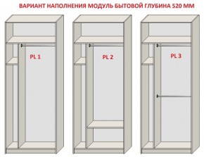 Шкаф распашной серия «ЗЕВС» (PL3/С1/PL2) в Ханты-Мансийске - hanty-mansiysk.ok-mebel.com | фото 5