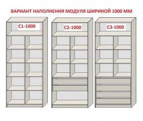 Шкаф распашной серия «ЗЕВС» (PL3/С1/PL2) в Ханты-Мансийске - hanty-mansiysk.ok-mebel.com | фото 7