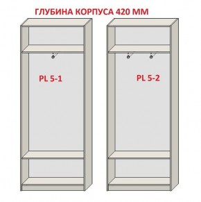 Шкаф распашной серия «ЗЕВС» (PL3/С1/PL2) в Ханты-Мансийске - hanty-mansiysk.ok-mebel.com | фото 8