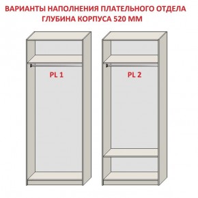 Шкаф распашной серия «ЗЕВС» (PL3/С1/PL2) в Ханты-Мансийске - hanty-mansiysk.ok-mebel.com | фото 9