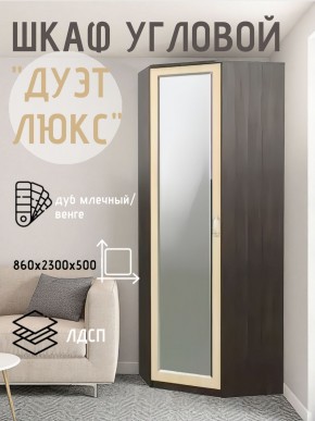 Шкаф угловой Дуэт Люкс с зеркалом в Ханты-Мансийске - hanty-mansiysk.ok-mebel.com | фото 5