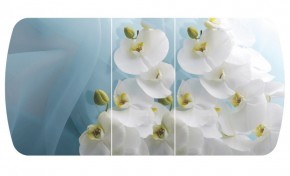 Стол Бостон-3 (Белая Орхидея) 1100/1420*700, опора Брифинг в Ханты-Мансийске - hanty-mansiysk.ok-mebel.com | фото 2
