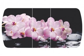 Стол Бостон-3 (Розовая Орхидея) 1100/1420*700, опора Брифинг в Ханты-Мансийске - hanty-mansiysk.ok-mebel.com | фото 2
