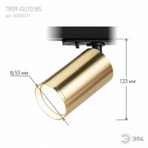 Светильник на штанге Эра  TR39-GU10 BS в Ханты-Мансийске - hanty-mansiysk.ok-mebel.com | фото 6