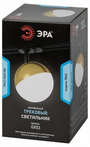 Светильник на штанге Эра  TR42-GX53 BS в Ханты-Мансийске - hanty-mansiysk.ok-mebel.com | фото 6