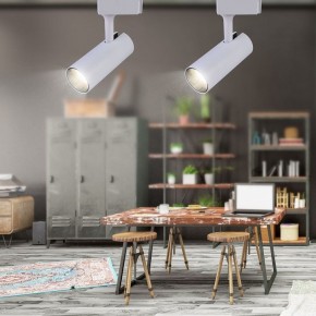 Светильник на штанге Эра  TR5-20 COB WH в Ханты-Мансийске - hanty-mansiysk.ok-mebel.com | фото 4