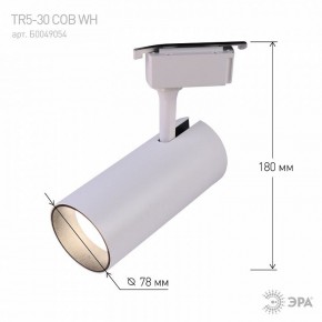 Светильник на штанге Эра  TR5-30 COB WH в Ханты-Мансийске - hanty-mansiysk.ok-mebel.com | фото 6