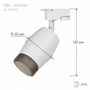 Светильник на штанге Эра  TR51 - GU10 WH в Ханты-Мансийске - hanty-mansiysk.ok-mebel.com | фото 4