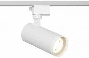 Светильник на штанге Эра  TR59 - 2040 WH в Ханты-Мансийске - hanty-mansiysk.ok-mebel.com | фото
