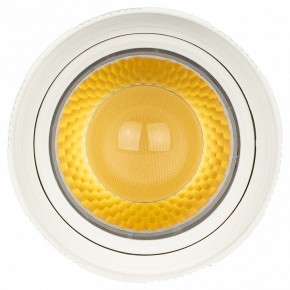 Светильник на штанге Эра  TR59 - 2040 WH в Ханты-Мансийске - hanty-mansiysk.ok-mebel.com | фото 3