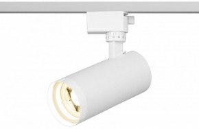 Светильник на штанге Эра  TR59 - 2040 WH в Ханты-Мансийске - hanty-mansiysk.ok-mebel.com | фото 5
