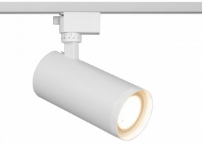 Светильник на штанге Эра  TR59 - 3030 WH в Ханты-Мансийске - hanty-mansiysk.ok-mebel.com | фото