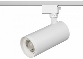 Светильник на штанге Эра  TR59 - 3030 WH в Ханты-Мансийске - hanty-mansiysk.ok-mebel.com | фото 2