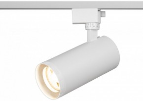 Светильник на штанге Эра  TR59 - 3030 WH в Ханты-Мансийске - hanty-mansiysk.ok-mebel.com | фото 5