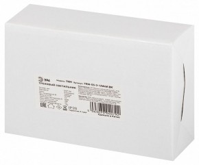 Светильник на штанге Эра  TRM-S5-3-12W4K-BK в Ханты-Мансийске - hanty-mansiysk.ok-mebel.com | фото 8