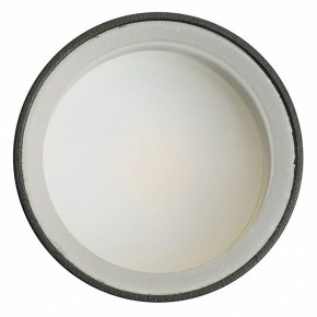 Светильник на штанге Feron ML1001 51371 в Ханты-Мансийске - hanty-mansiysk.ok-mebel.com | фото 4