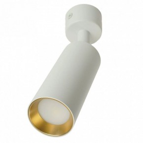Светильник на штанге Feron ML1011 51380 в Ханты-Мансийске - hanty-mansiysk.ok-mebel.com | фото 9