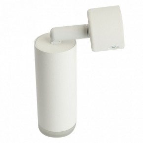 Светильник на штанге Feron ML1021 51390 в Ханты-Мансийске - hanty-mansiysk.ok-mebel.com | фото 3