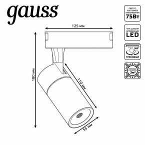 Светильник на штанге Gauss Track Light TR060 в Ханты-Мансийске - hanty-mansiysk.ok-mebel.com | фото 5
