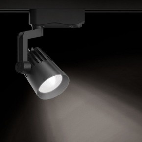 Светильник на штанге Gauss Track Light TR061 в Ханты-Мансийске - hanty-mansiysk.ok-mebel.com | фото 2