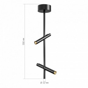 Светильник на штанге ST-Luce LILT SL6210.403.02 в Ханты-Мансийске - hanty-mansiysk.ok-mebel.com | фото 3