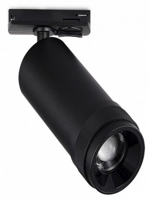 Светильник на штанге ST-Luce ST384 ST384.446.10 в Ханты-Мансийске - hanty-mansiysk.ok-mebel.com | фото 2