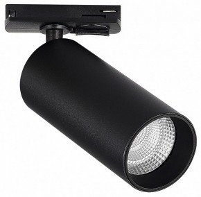 Светильник на штанге ST-Luce ST384 ST384.446.20 в Ханты-Мансийске - hanty-mansiysk.ok-mebel.com | фото