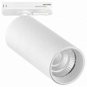 Светильник на штанге ST-Luce ST384 ST384.536.20 в Ханты-Мансийске - hanty-mansiysk.ok-mebel.com | фото