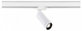 Светильник на штанге ST-Luce ST691 ST691.536.10 в Ханты-Мансийске - hanty-mansiysk.ok-mebel.com | фото